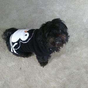 Meet your Posher, William